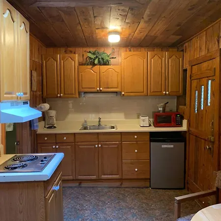 Mountain Lake Cottages Hendersonville Exterior photo